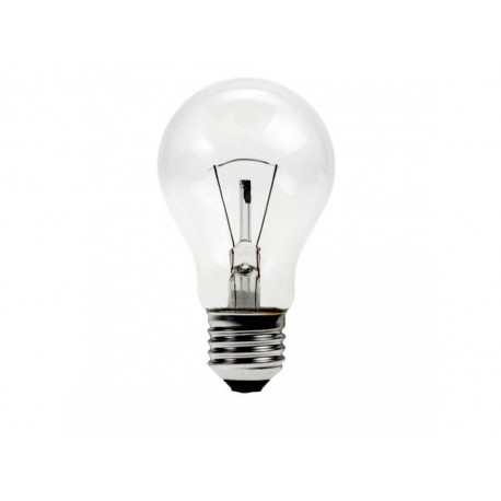žiarovka Narva/ Bellight AGN 100W/24V/E27